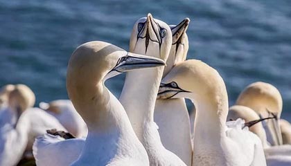 体育新闻中心深化体育新媒体内容智能推荐研究，体育移动新媒体