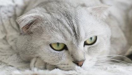 教练培训是否过于注重理论缺乏实战演练，教练员培训要注意哪些方面