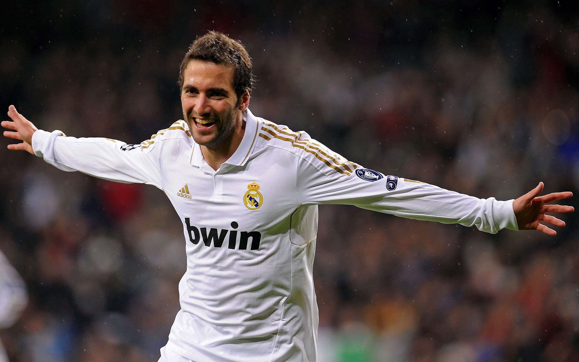 德甲逐步完善裁判判罚体系，确保比赛公平公正，德甲场地