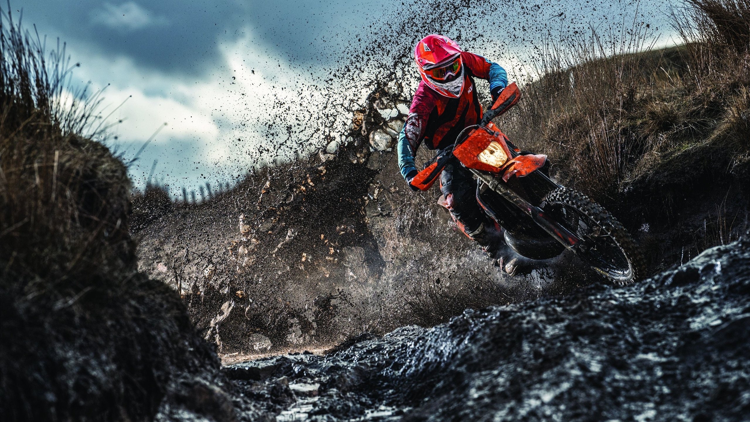 穿越火线 选手表现持续稳定,穿越火线职业选手角色什么功能